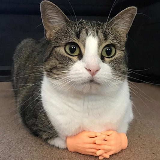 Cat Funny Finger Gloves